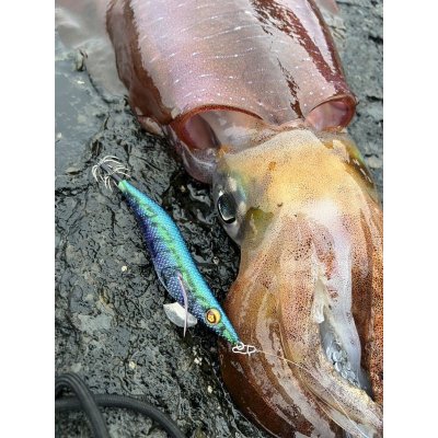 画像8: WILDCHASE 3.5号/ブルーパイソン/スポットGLOW[特注:EGI MANIACS]