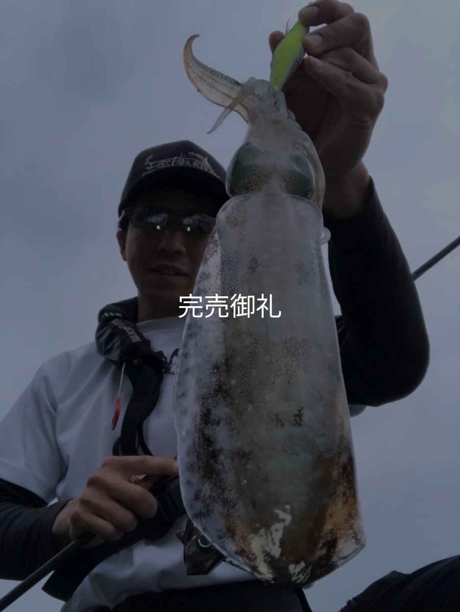 画像10: WILDCHASE 3.0号 /セナキスパイソン/UV[特注:EGI MANIACS] (10)