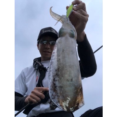 画像10: WILDCHASE 3.5号 /セナキスパイソン/UV[特注:EGI MANIACS]