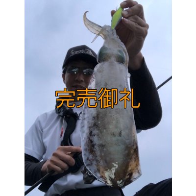 画像10: WILDCHASE 3.0号 /セナキスパイソン/UV[特注:EGI MANIACS]