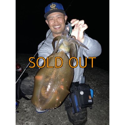 画像2: WILDCHASE 3.5号/ブルーパイソン/スポットGLOW[特注:EGI MANIACS]