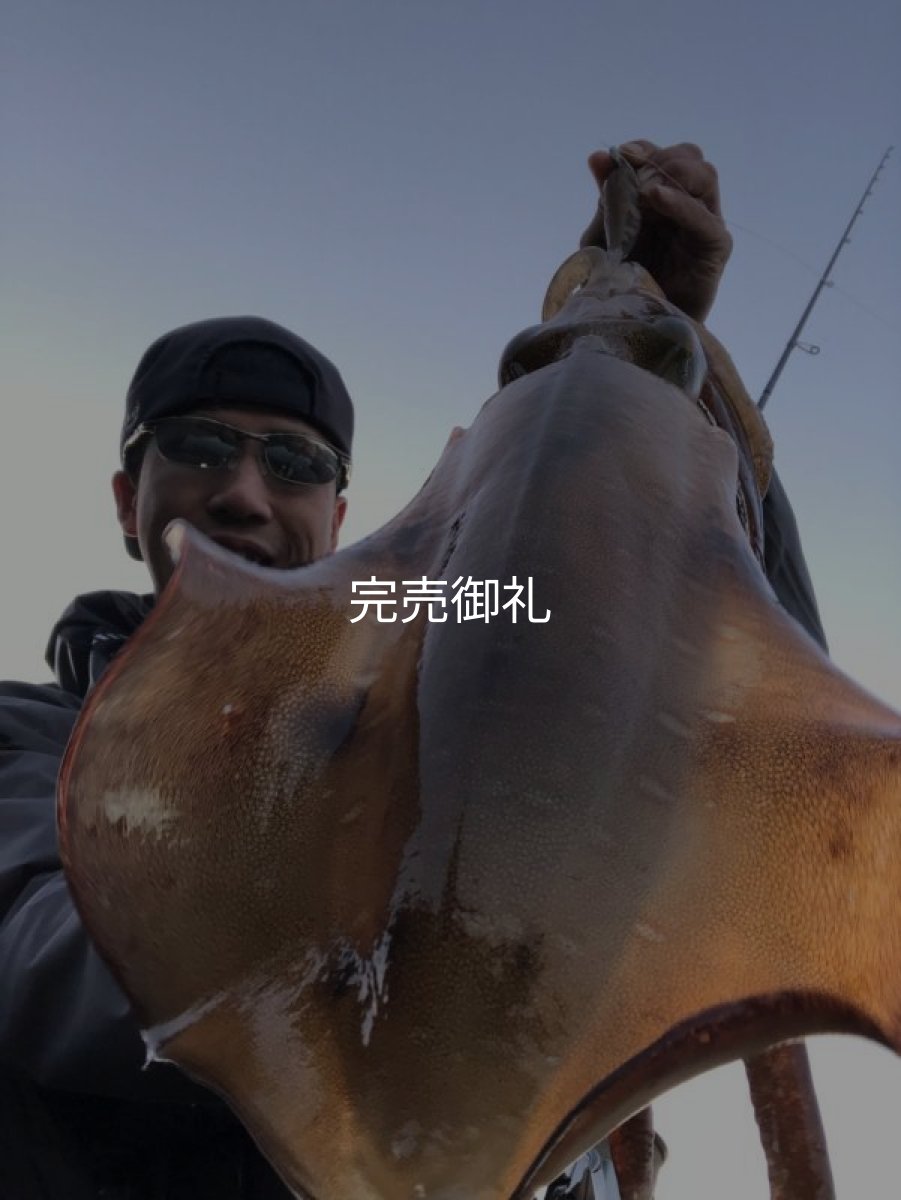 画像24: WILDCHASE 3.0号RTラトル /俺のGOLDパイソン/[特注:EGI MANIACS] (24)