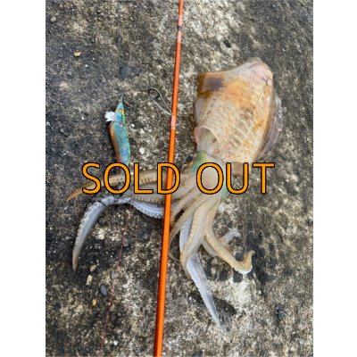 画像8: WILDCHASE 3.5号 /セナキスパイソン/UV[特注:EGI MANIACS]