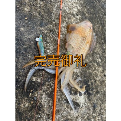 画像8: WILDCHASE 3.0号 /セナキスパイソン/UV[特注:EGI MANIACS]