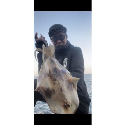 画像4: WILDCHASE 3.5号/ブルーパイソン/スポットGLOW[特注:EGI MANIACS]