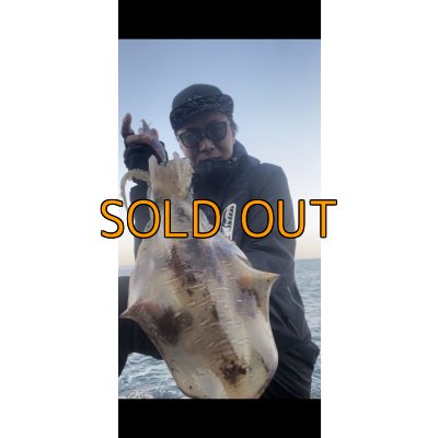 画像4: WILDCHASE 3.5号/ブルーパイソン/スポットGLOW[特注:EGI MANIACS]