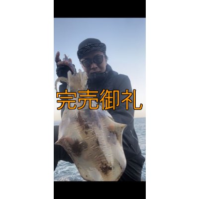 画像4: WILDCHASE 3.0号/ブルーパイソン/スポットGLOW[特注:EGI MANIACS]