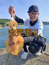 WILDCHASE 3.0号 /セナキスパイソン/UV[特注:EGI MANIACS]