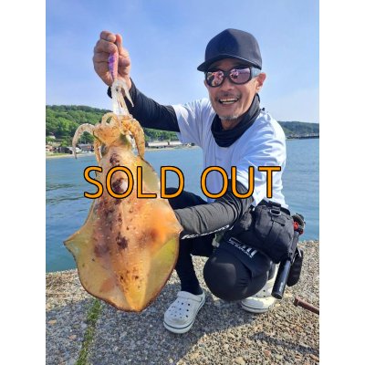 画像1: WILDCHASE 3.5号 /セナキスパイソン/UV[特注:EGI MANIACS]