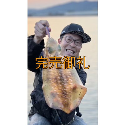 画像4: WILDCHASE 3.0号 /セナキスパイソン/UV[特注:EGI MANIACS]