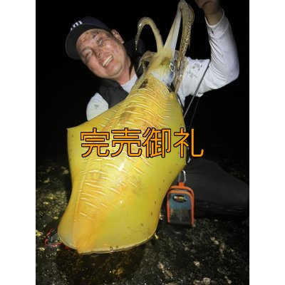 画像6: ★送料無料★EGI MANIACS 3D刺繍シームレス 撥水キャップ【拘りのバックベルト付き】