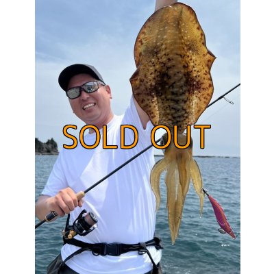 画像21: 受注生産 DRYシルキータッチＥＭ  【波・風イメージ新ロゴ】