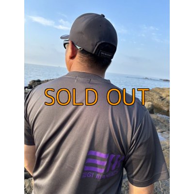 画像13: 受注生産 DRYシルキータッチＥＭ  【波・風イメージ新ロゴ】