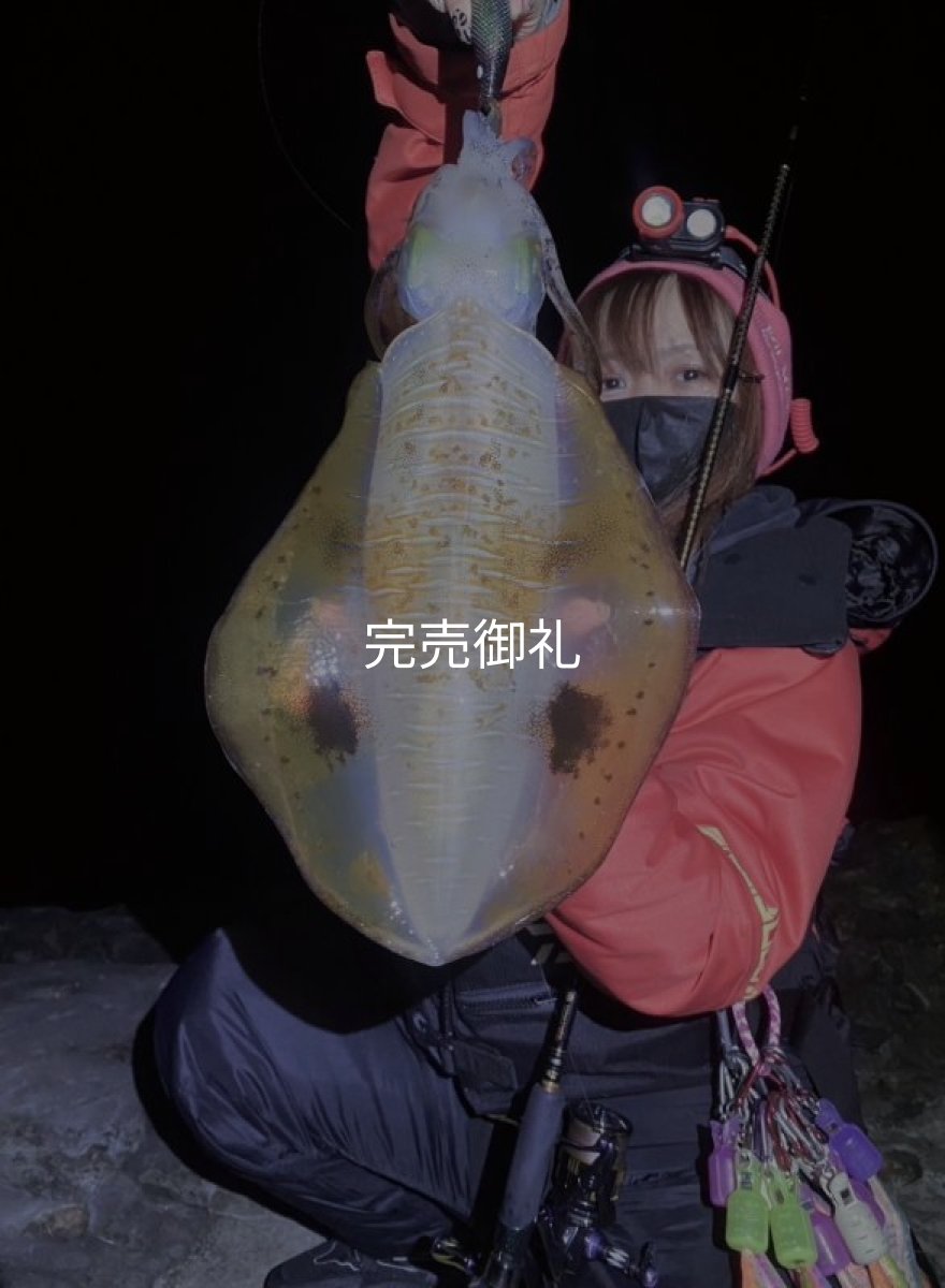 画像1: WILD CHASE 3.0号 モンスターブラック[特注:EGI MANIACS] (1)