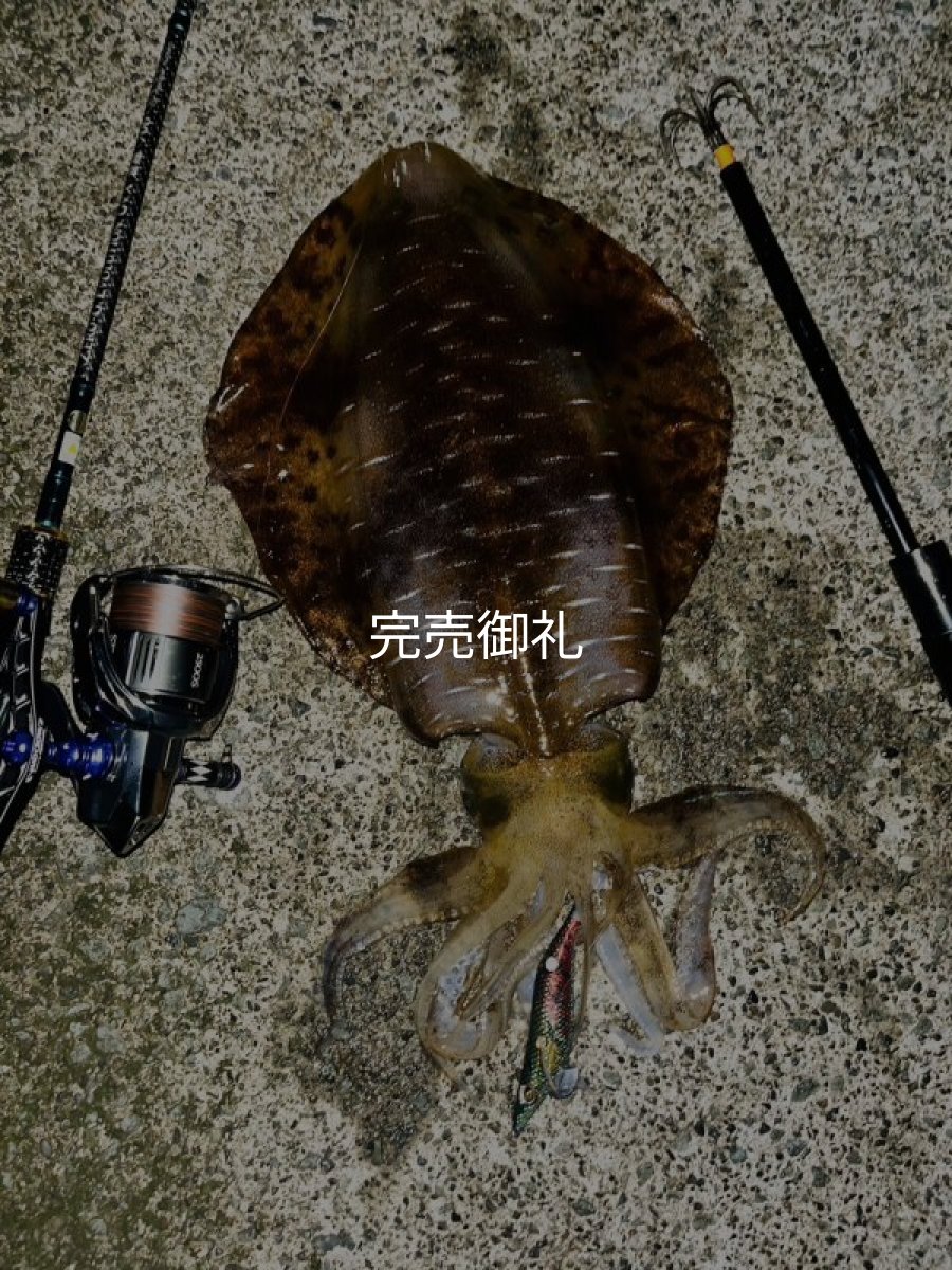 画像8: WILD CHASE 3.0号 モンスターブラック[特注:EGI MANIACS] (8)