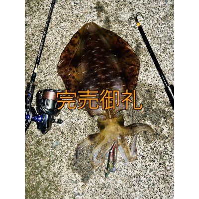 画像8: WILD CHASE 3.0号 モンスターブラック[特注:EGI MANIACS]