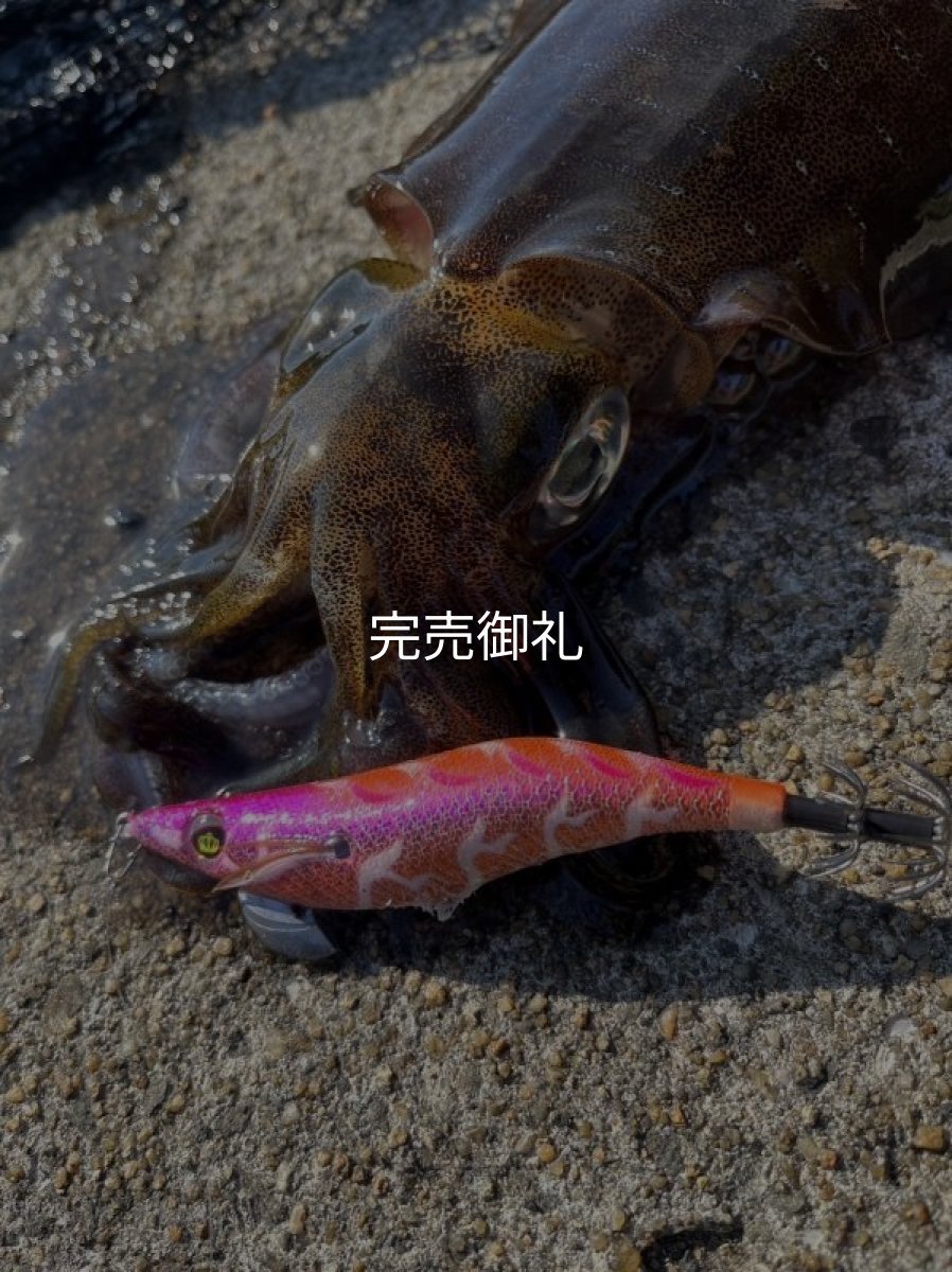 画像7: WILD CHASE 3.0号 モンスターオレンジ[特注:EGI MANIACS] (7)