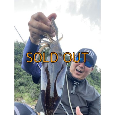 画像5: WILDCHASE 3.5号 /俺のGOLDパイソン/[特注:EGI MANIACS]