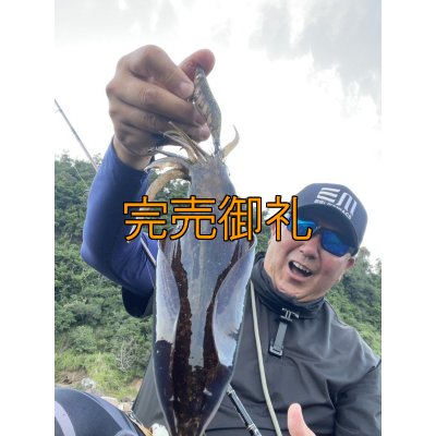 画像9: WILDCHASE 3.0号RTラトル /俺のGOLDパイソン/[特注:EGI MANIACS]