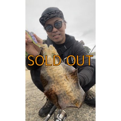 画像2: WILDCHASE 3.5号 /セナキスパイソン/UV[特注:EGI MANIACS]