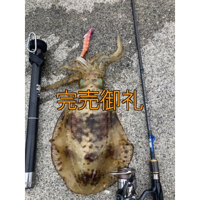 画像8: WILD CHASE 3.0号 モンスターオレンジ[特注:EGI MANIACS]