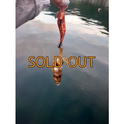 画像8: WILDCHASE 3.5号 / 斑赤龍/RED GLOW搭載[特注:EGI MANIACS]