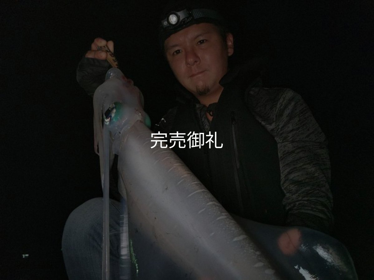 画像11: WILDCHASE 3.0号RTラトル /俺のGOLDパイソン/[特注:EGI MANIACS] (11)