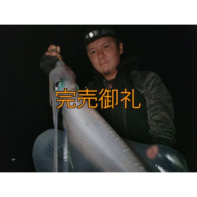 画像11: WILDCHASE 3.0号RTラトル /俺のGOLDパイソン/[特注:EGI MANIACS]