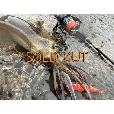 画像7: WILDCHASE 3.5号 / 斑赤龍/RED GLOW搭載[特注:EGI MANIACS]