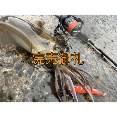 画像3: WILDCHASE 3.0号 / 斑赤龍/RED GLOW搭載[特注:EGI MANIACS]