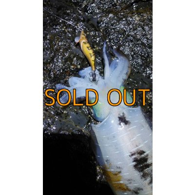 画像24: WILDCHASE 3.5号 /俺のGOLDパイソン/[特注:EGI MANIACS]