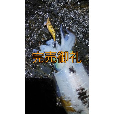 画像24: WILDCHASE 3.0号 /俺のGOLDパイソン/[特注:EGI MANIACS]