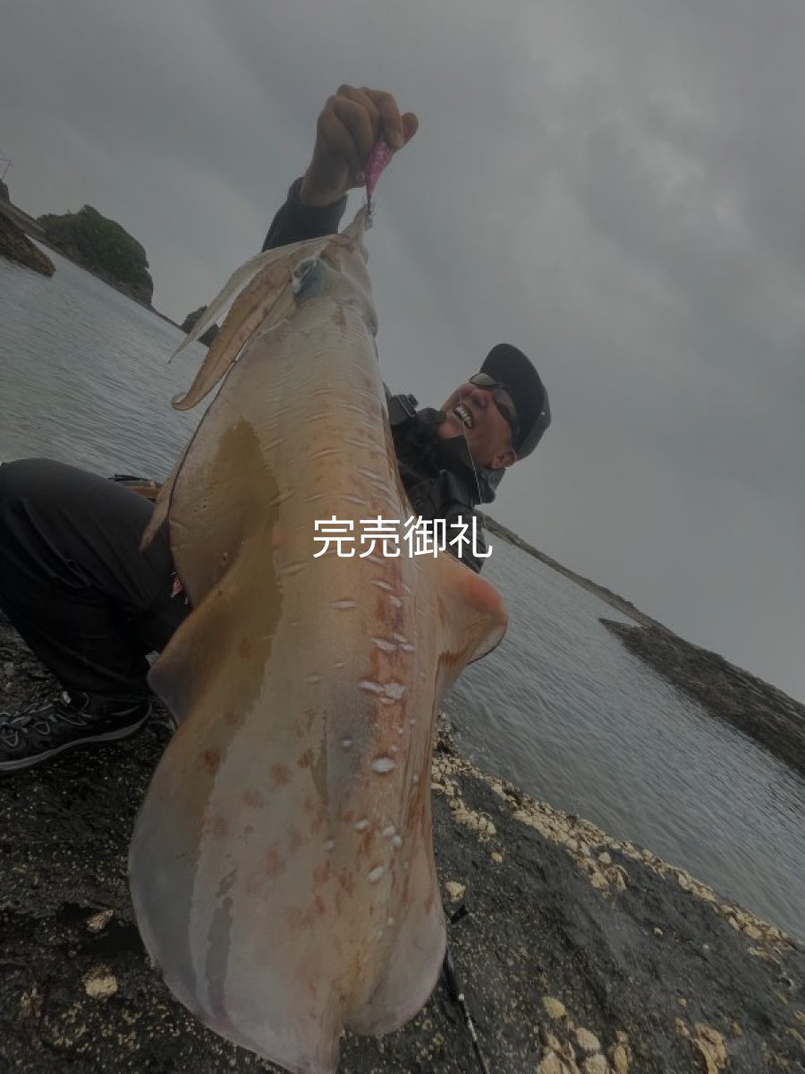 画像1: WILD CHASE 3.0号 モンスターピンク[特注:EGI MANIACS] (1)