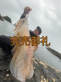 WILD CHASE 3.0号 モンスターピンク[特注:EGI MANIACS]
