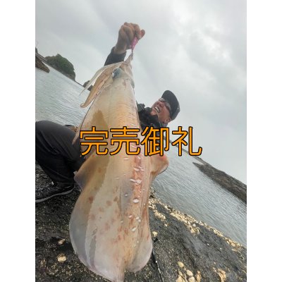画像1: WILD CHASE 3.0号 モンスターピンク[特注:EGI MANIACS]