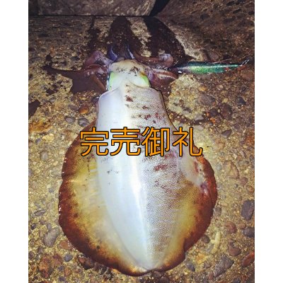 画像9: WILD CHASE 3.0号RTラトル モンスターブラック[特注:EGI MANIACS]