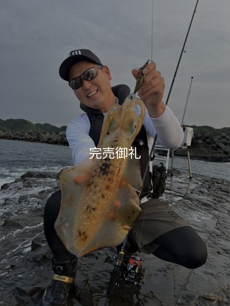 画像7: WILDCHASE 3.0号RTラトル /俺のGOLDパイソン/[特注:EGI MANIACS] (7)