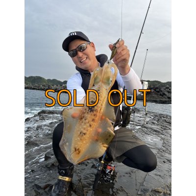 画像3: WILDCHASE 3.5号 /俺のGOLDパイソン/[特注:EGI MANIACS]