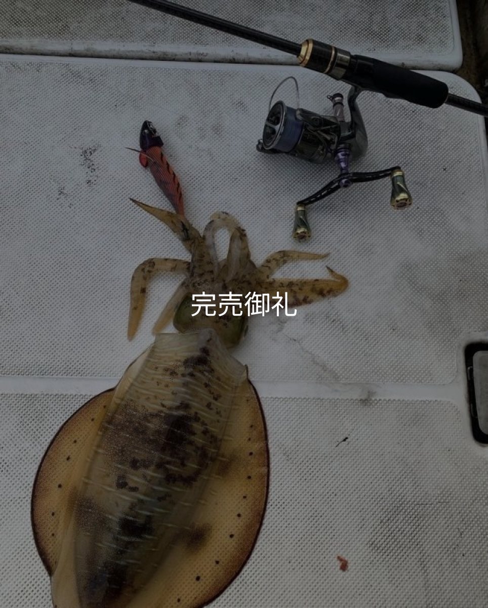 画像4: 『魅黒/GOLD』X-FOR TZ 605S 神龍 B-TR tune (4)