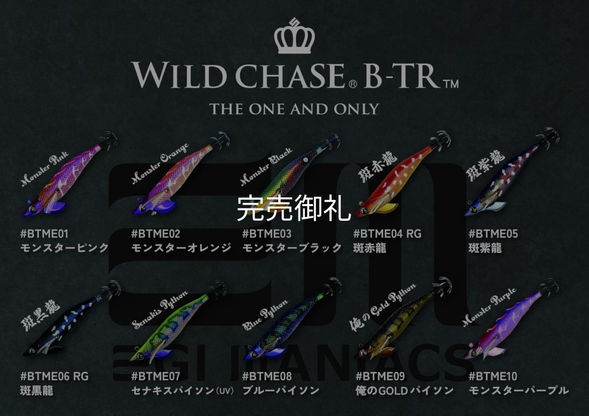画像1: WILD CHASE/B-TR 3.5号 30ｇティップラン用[特注:EGI MANIACS] (1)