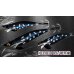 画像2: WILD CHASE/B-TR 3.5号 30ｇ/斑黒龍[特注:EGI MANIACS] (2)