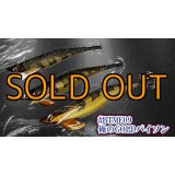 WILD CHASE/B-TR 3.0号 25ｇ/俺のGOLDパイソン[特注:EGI MANIACS]