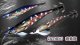 B-TR/斑紫龍3.0号 25ｇ