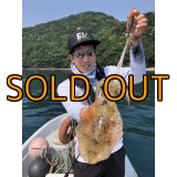 WILD CHASE/B-TR 3.5号 30ｇ/俺のGOLDパイソン[特注:EGI MANIACS]