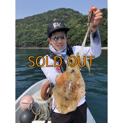 画像3: WILD CHASE/B-TR 3.0号 25ｇ/俺のGOLDパイソン[特注:EGI MANIACS]