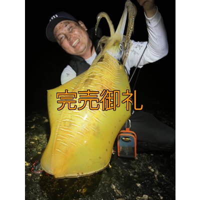 画像4: FINAL 『魅黒/RED』ZERO-G EVOLUTION  800 朱雀II  EVA ver [別注EGI MANIACS]