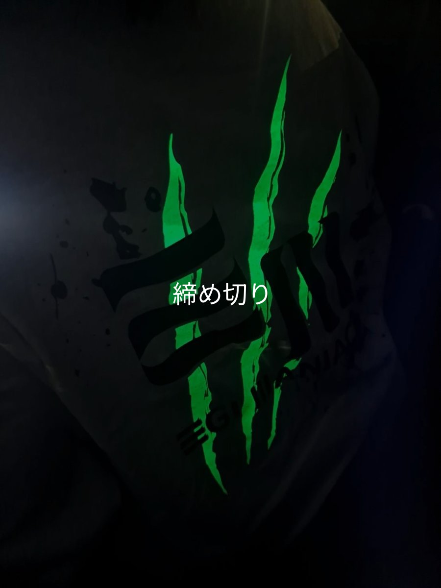 画像18: 受注生産  EGI MANIACS 『スプラッシュ』綿・シルキードライロンT (18)