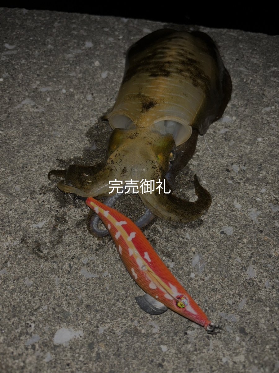 画像6: WILDCHASE 3.0号RTラトル / 斑赤龍/RED GLOW搭載[特注:EGI MANIACS] (6)