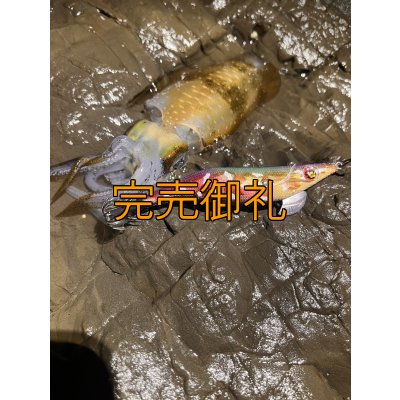 画像8: WILDCHASE 3.0号RTラトル/ 斑紫龍[特注:EGI MANIACS]