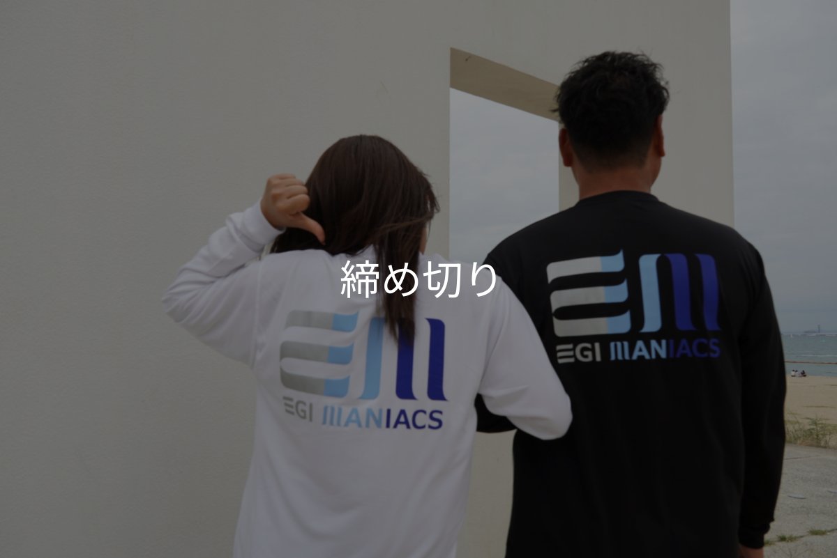 画像6: 受注生産  EGI MANIACS 『グラデーション』綿・シルキードライロンT (6)